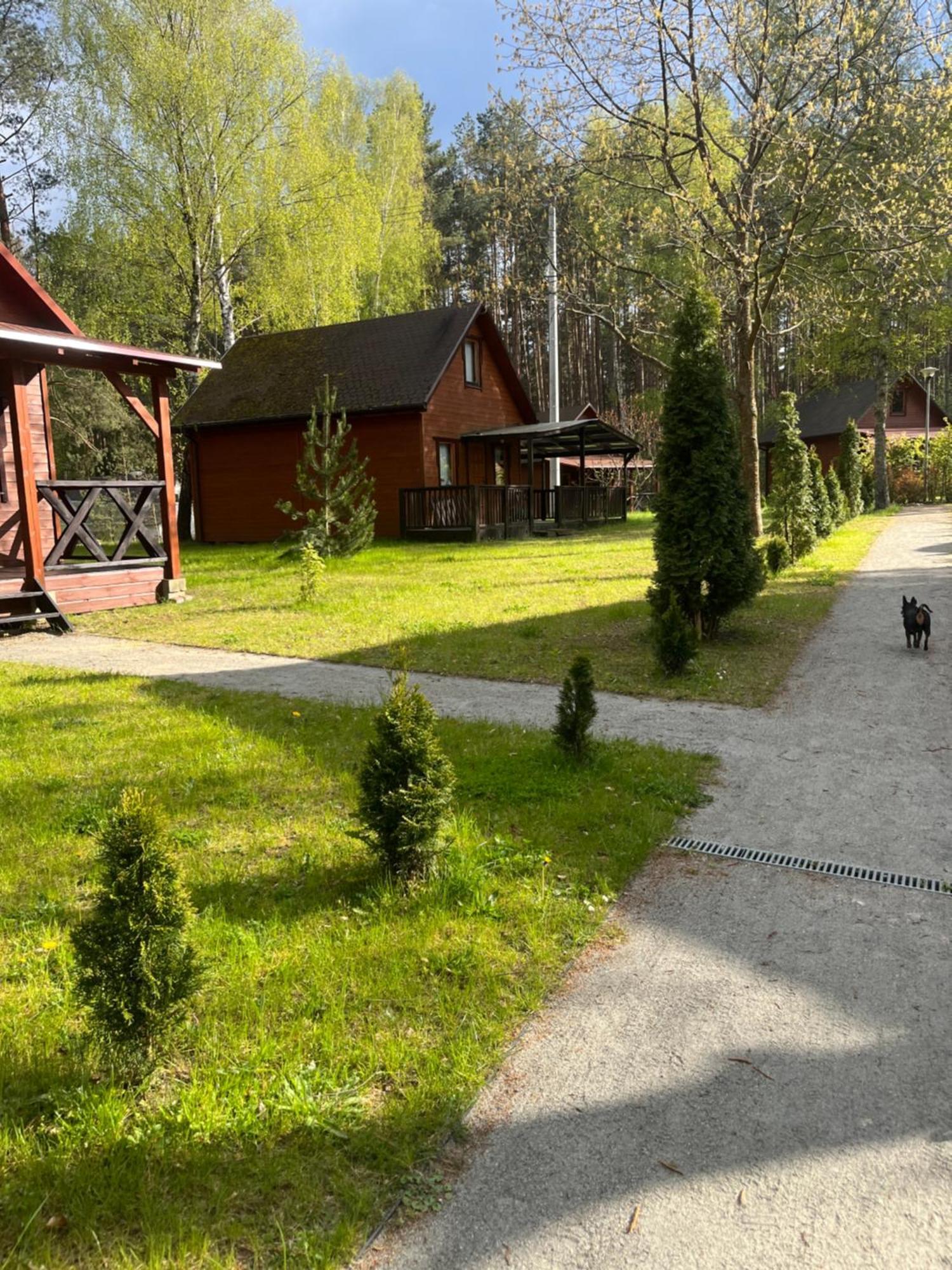 Domki Letniskowe Nad Jeziorem Kazub Cieciorka Bagian luar foto